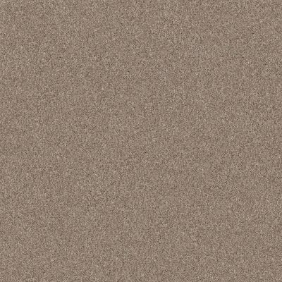 Shaw Floors Pet Perfect YES YOU CAN II 12′ Subtle Clay 00114_5E569