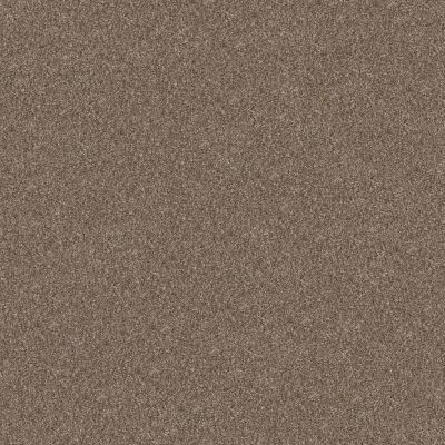 Shaw Floors Pet Perfect Yes You Can II 12′ Honeycomb 00207_5E569