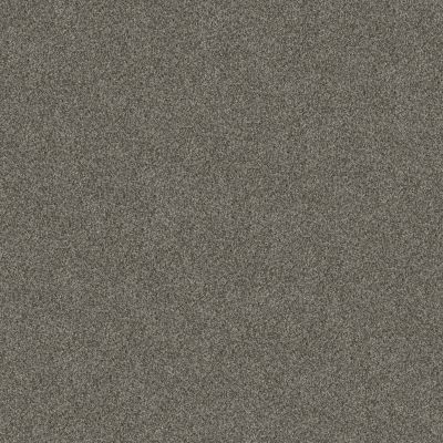 Shaw Floors Pet Perfect YES YOU CAN II 12′ Rerooted Nature 00300_5E569