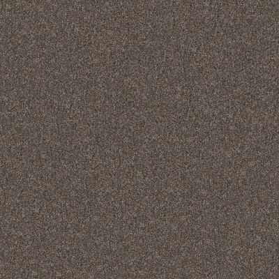 Shaw Floors Pet Perfect Yes You Can III 12′ Cafe Noir 00706_5E570