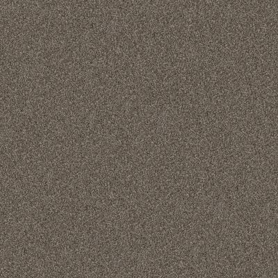 Shaw Floors Pet Perfect Yes You Can III 12′ Urban Rustic 00708_5E570