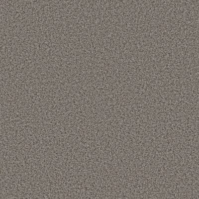 Shaw Floors BASIC MIX 13.7 Burnished Silver 0500B_372SE