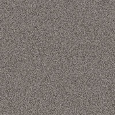 Shaw Floors BASIC MIX 13.7 Metro Gray 0506A_372SE