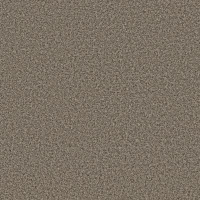 Shaw Floors BASIC MIX 13.7 Casual Khaki 0720A_372SE