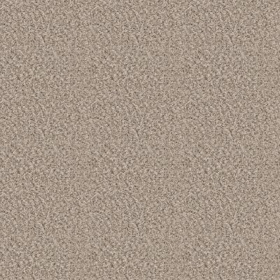 Shaw Floors BASIC MIX 13.7 Sandstone 0100T_372SE