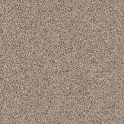 Shaw Floors BASIC MIX 13.7 Baltic Stone 0102T_372SE