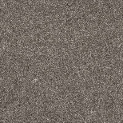 Shaw Floors Pet Perfect Yes You Can I 15′ Ashes 00501_5E571