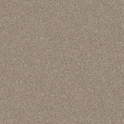 Shaw Floors Pet Perfect Yes You Can II 15′ Natural 00109_5E572