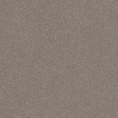 Shaw Floors Simply The Best SMOOTH TALK II Anew Grey 00702_5E579