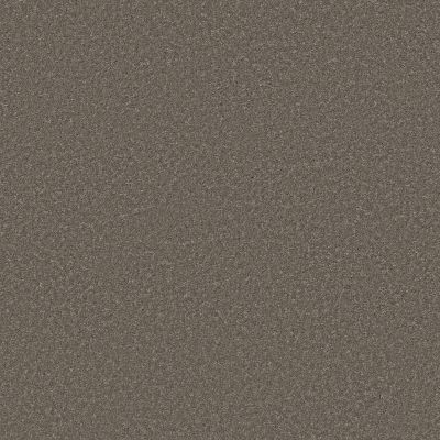 Shaw Floors Simply The Best SMOOTH TALK II Urban Taupe 00703_5E579
