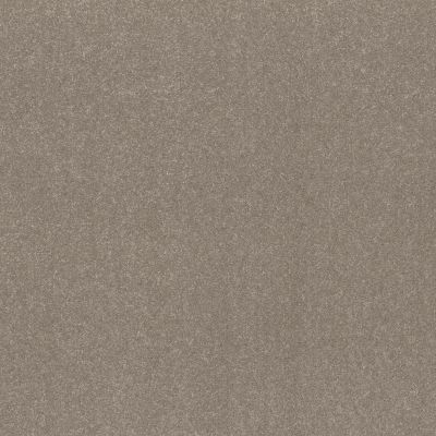 Shaw Floors Pet Perfect HARD AT PLAY II 15′ Chic Greige 00111_5E581
