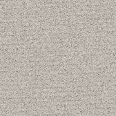 Shaw Floors Pet Perfect INTRICATE TRACE Cashmere 00104_5E587