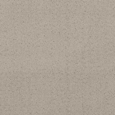 Shaw Floors Pet Perfect Intricate Trace River Birch 00106_5E587