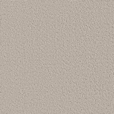 Shaw Floors Pet Perfect INTRICATE TRACE Natural 00109_5E587