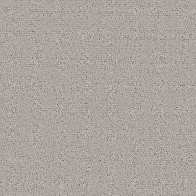 Shaw Floors Pet Perfect INTRICATE TRACE Flannel 00503_5E587
