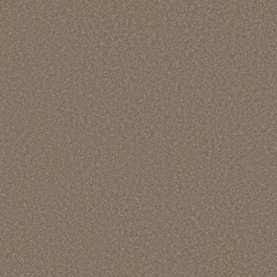 Shaw Floors Pet Perfect WAY TO GO I Chic Taupe 00711_5E668