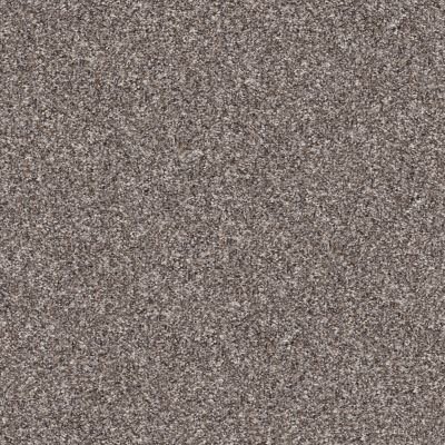 Shaw Floors Pet Perfect YES YOU CAN II 12′ Alaskan Air 00500_5E569