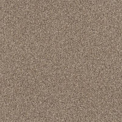 Shaw Floors Pet Perfect Yes You Can II 15′ Sea Shell 00100_5E572