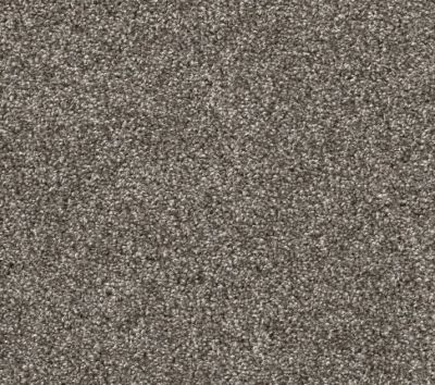 Shaw Floors Pet Perfect YES YOU CAN II 15′ Ashes 00501_5E572