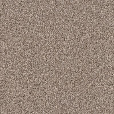 Shaw Floors Pet Perfect Yes You Can III 12′ Glacier 00110_5E570