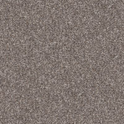 Shaw Floors Pet Perfect YES YOU CAN III 12′ Alaskan Air 00500_5E570