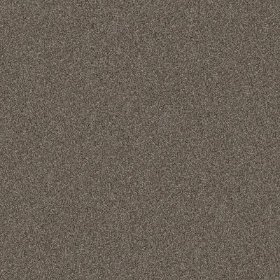 Shaw Floors Pet Perfect YES YOU CAN III 12′ Urban Rustic 00708_5E570