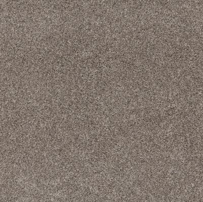 Shaw Floors Pet Perfect Yes You Can III 15′ Warm Light 00116_5E573