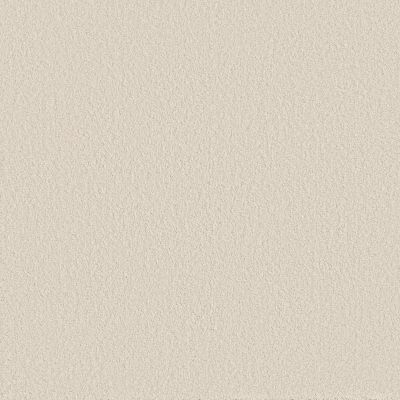 Shaw Floors Pet Perfect WAY TO GO II Antique Ivory 00108_5E669