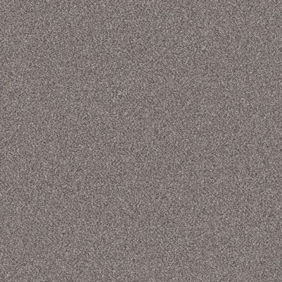 Shaw Floors SIMPLY THE BEST Truspirit II Stainless 00508_5E497