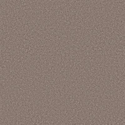 Shaw Floors Simply The Best Trusolutions II Taupe Dream 00705_5E648