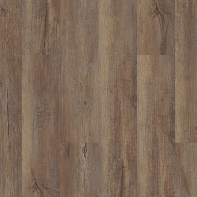 Shaw Floors Mi Homes Perfect North Modeled Oak 00709_MH04B