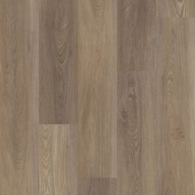 Shaw Floors Mi Homes Rookwood Plus Ash Oak 07065_MH12A