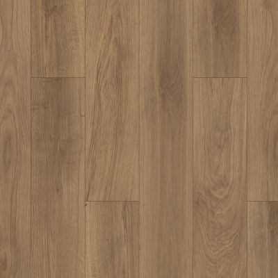 Shaw Floors Mi Homes Grandin Plus Tesora 07057_MH13A