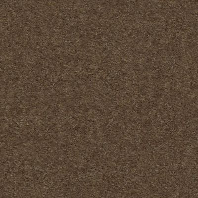 Shaw Floors Mi Homes Fawnbrook Toffee 00753_MH147