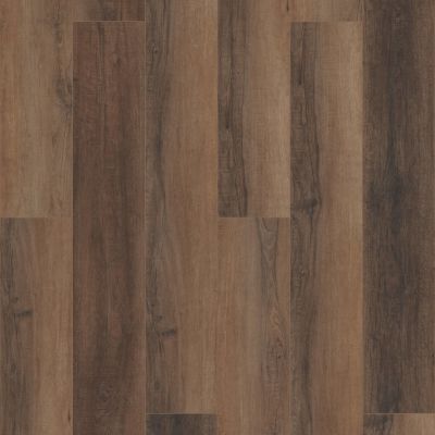 Shaw Floors Mi Homes Wooster HD 9″ Cheshire Elm 02094_MH70A