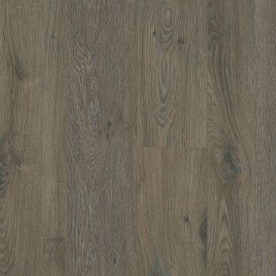 Shaw Floors Mi Homes Sheephorn Plus Ashlee Gray 05009_MH95A