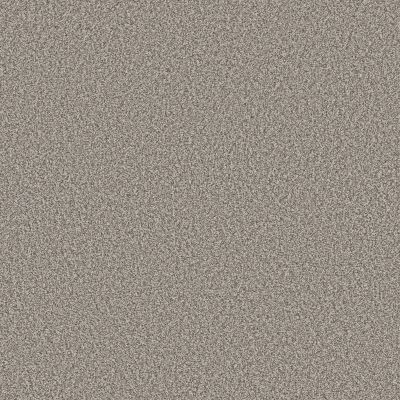Shaw Floors SFA TWEED COMFORT I Stand Out 00177_5E661