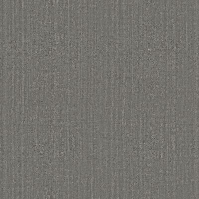 Shaw Floors Pet Perfect Shady Stroll Sheer Taupe 00504_5E689