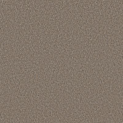 Shaw Floors Simply The Best Always Right II Goose Feather 00120_5E665