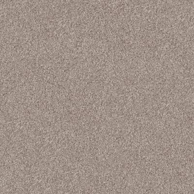 Shaw Floors Simply The Best INLET SHORE 1 12′ Pale Ecru 58109_5E788
