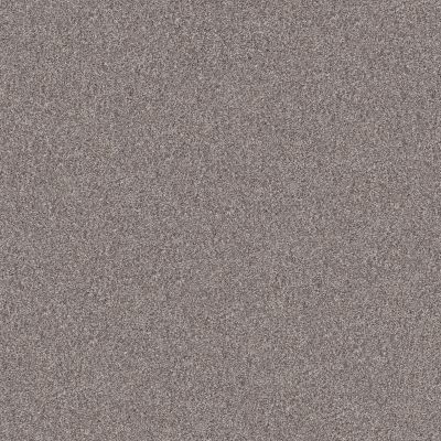 Shaw Floors Simply The Best INLET SHORE 1 12′ French Buff 58111_5E788