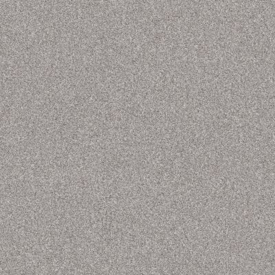 Shaw Floors Simply The Best INLET SHORE II 12′ Sheer White 58107_5E790