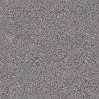 Shaw Floors Simply The Best INLET SHORE II 15′ Stacked Wall 58509_5E791