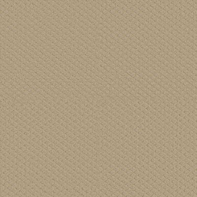 Shaw Floors PADOVA Dunes 00102_52V37
