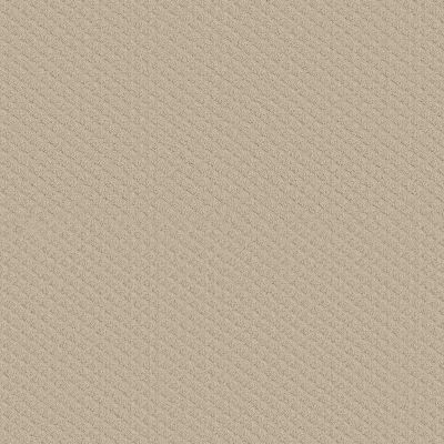 Shaw Floors PADOVA Sand Pebble 00103_52V37