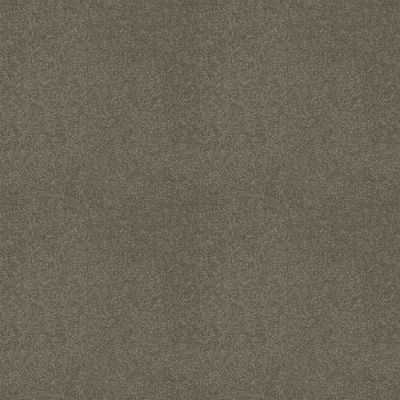 Shaw Floors SFA LOYAL BEAUTY III Grey Flannel 00501_EA164