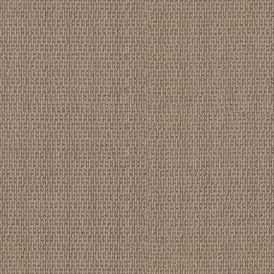 Shaw Floors Pet Perfect Plus CRAFTED EMBRACE Beige Bisque 00110_5E455