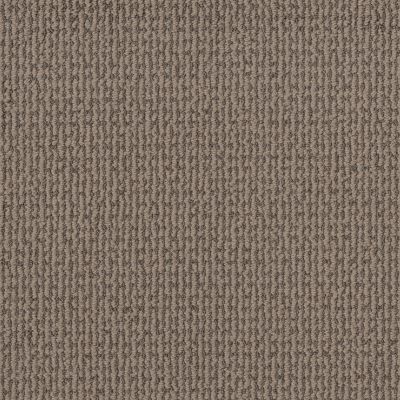 Shaw Floors Pet Perfect Plus CRAFTED EMBRACE Stormy Breeze 00505_5E455