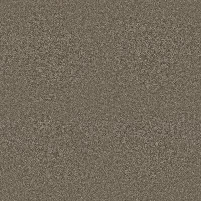 Shaw Floors Pet Perfect Plus Just A Hint I Dreamy Taupe 00708_E9640