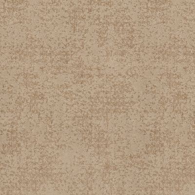 Shaw Floors Value Collections Artistic Presence Net Natural Beauty 00721_5E374